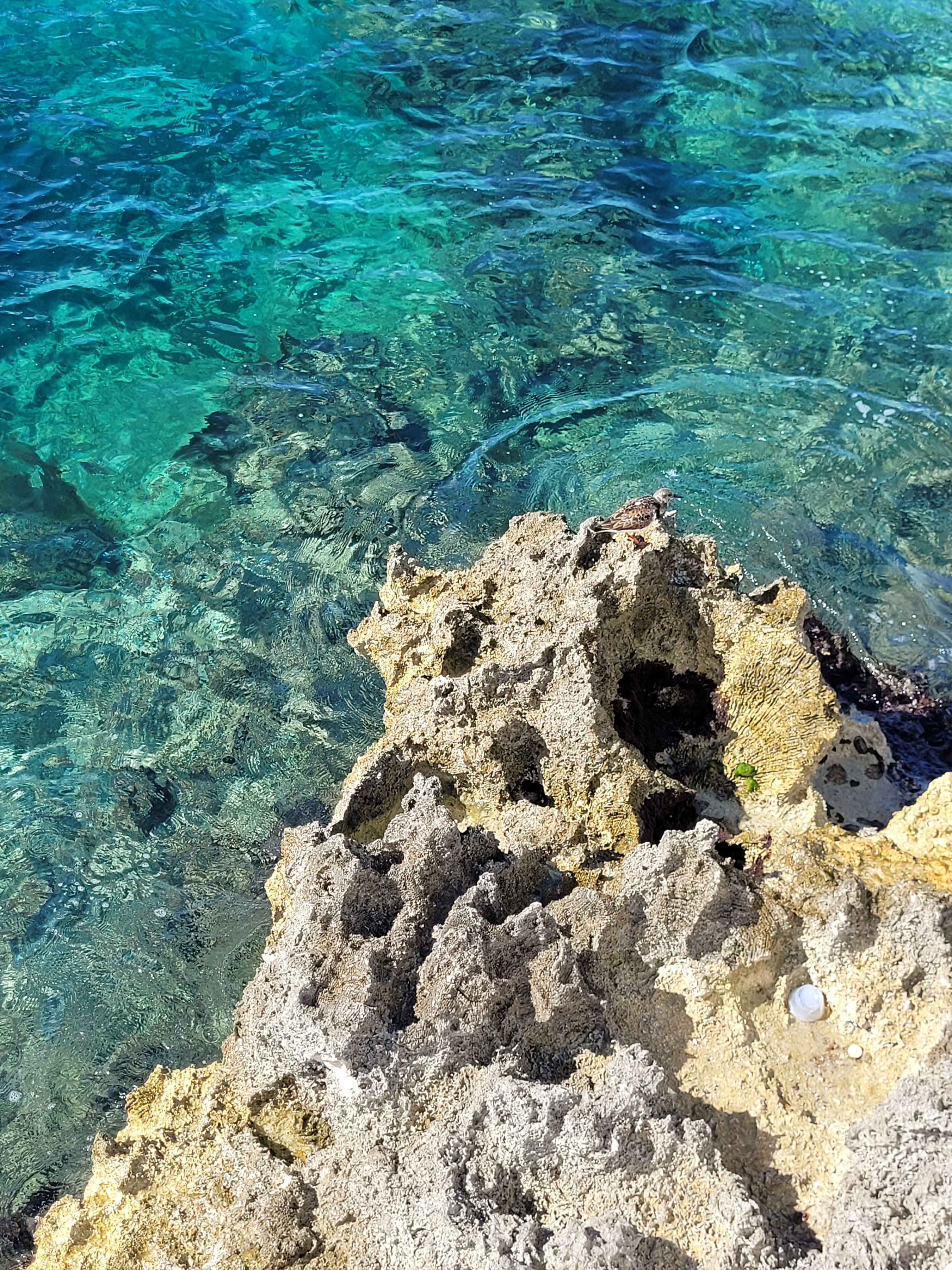clear blue water with a weathered rock